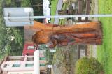 IMG_7757.JPG