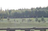 IMG_7805.JPG
