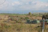 IMG_7842.JPG