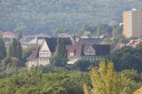 IMG_7925.JPG